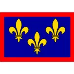 Drapeau de région de France Anjou vector image