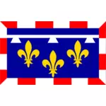 Bandera de la región centro-Val-de-Loire gráficos vectoriales