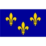 ベクトル グラフィックスを Île de フランス地域の旗
