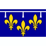 Orléanais क्षेत्र ध्वज ड्राइंग वेक्टर