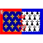 Betaler de la Loire regionen flagg vektor image