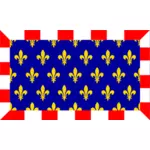 Touraine Region Flag-Vektor-Bild