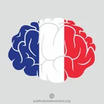 Francouzská vlajka mozku silueta