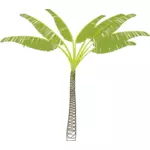 Immagine vettoriale di palma tropicale