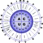 Imagen vectorial de código genético RNA