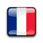 Кнопка флага Французская Гвиана