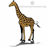 Girafa vector imagem