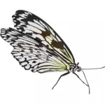Dibujo vectorial de mariposa andante