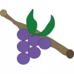 Purple grapes vector drawing