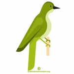 Uccello verde