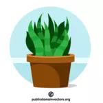 Zielona roślina rosnąca w doniczce