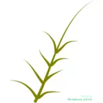 Vector graphics of green plant growing to the side