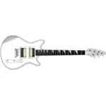 Vector image of electric guitar