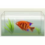 Orange poisson en illustration vectorielle aquarium