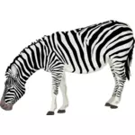 Imaginea vectorul fotorealiste zebră