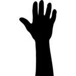Vector image of five fingers raised up