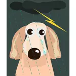 悲伤的狗在雨中