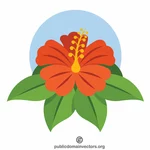 Fiore di ibisco