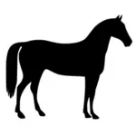 Horse silhouette vector illustration