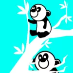 Due orsi panda in un albero