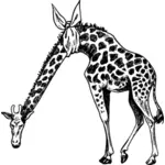 Girafe avec cou blessé
