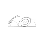 Snail vector drawing