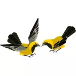 Clip-art vector de pássaro amarelo e preto