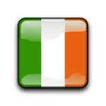 Buton de Drapelul Irlandei