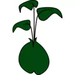 3 어두운 녹색 잎을 가진 식물의 벡터 클립 아트
