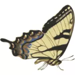 Sivunäkymä ruskeasta perhosvektorikuvasta