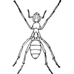 Clipart vectorial de hormiga con seis patas