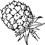 Blackberry fruit clip art