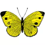Vektorbild av svart och gul fjäril