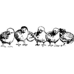Černá a bílá kresba kuřat