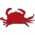 Vektorgrafik med röd krabba