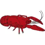 Red crayfish vector clip art