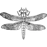 Vector clip art of dragonfly
