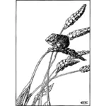 Векторный рисунок из урожая мыши едят зерно