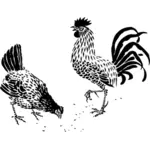 Grafis dan rooster Hen