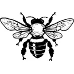 Vektor-Bild der Honigbienen