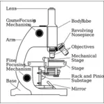 Mikroskop sida vektorritning med delar märkta