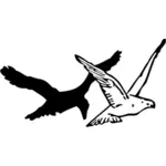 Imagen de la paloma y el cuervo
