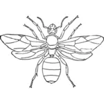 Grafica vettoriale di formica regina