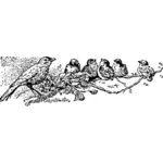Vector illustration of robins