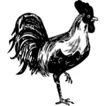 A rooster standing on one leg