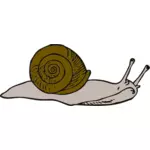 Ilustración de vector de caracol