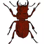 Vektorgrafikk av stag beetle