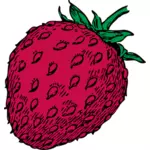 赤いイチゴ果実のベクトル描画
