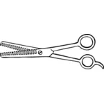 Two blade thinning shears