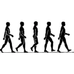 Vector image of steps of a walking human